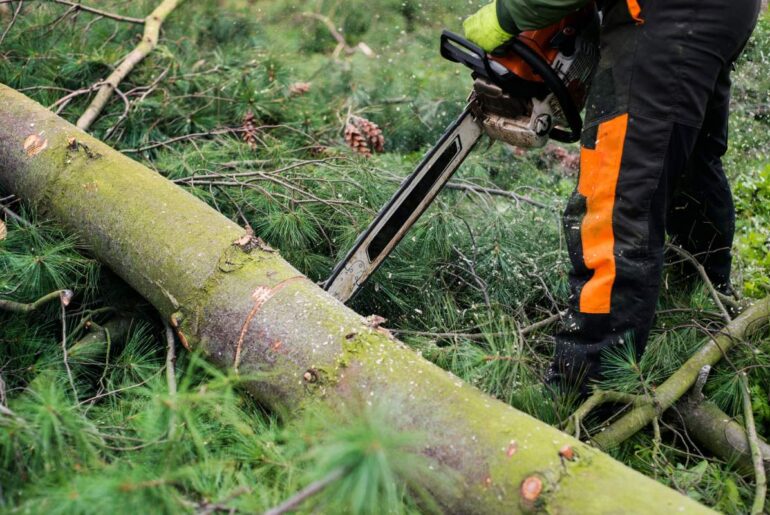 A close-up of lumberjack with chainsaw cutting a tree, midsection.