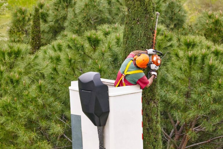 Equipped worker pruning a tree on a crane. Gardening works